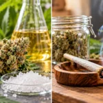 THCA vs THC Key Differences Explained